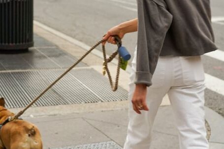 Bulldog - Woman Wearing White Pants Walking Brown Dog