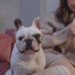 Bulldog - Woman in Brown Sweater Holding White Ceramic Mug Sitting on Couch