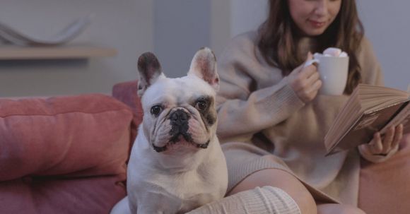 Bulldog - Woman in Brown Sweater Holding White Ceramic Mug Sitting on Couch