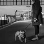 Bulldog - Man In Coat Holding Leash Of A English Bulldog