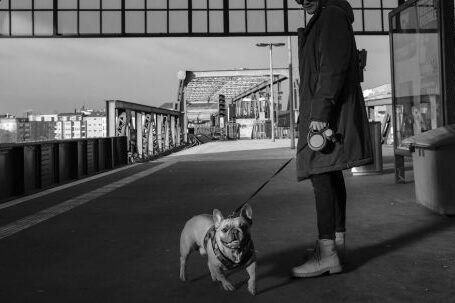 Bulldog - Man In Coat Holding Leash Of A English Bulldog