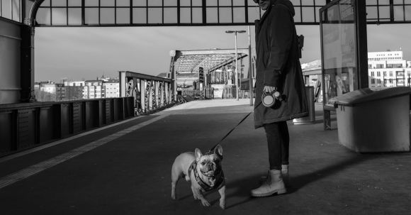 Bulldog - Man In Coat Holding Leash Of A English Bulldog