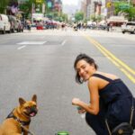 Bulldog - A Woman in Blue Dress and Her Brown Pug