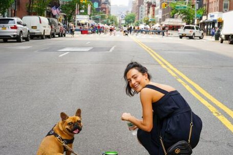 Bulldog - A Woman in Blue Dress and Her Brown Pug